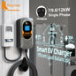 DLB 22 kW EV Charger Type 2 Three Phase Wallbox AC Electric Charging Station Smart Charging